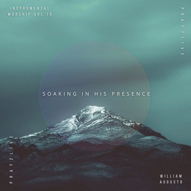 Soaking in His Presence, Vol. 19