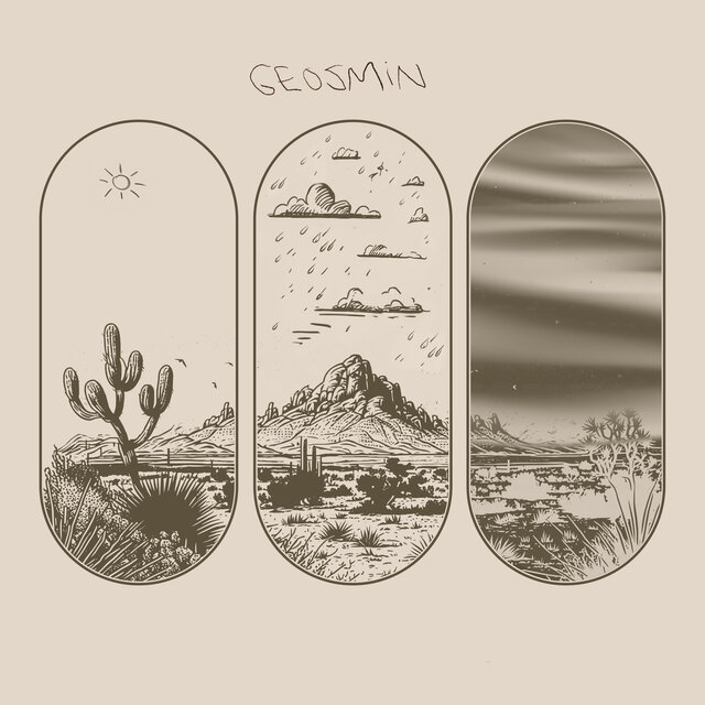 GEOSMIN
