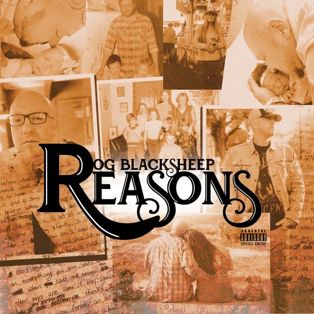 Reasons