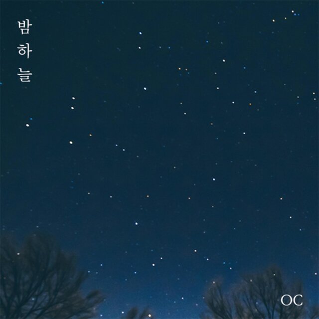 Night Sky