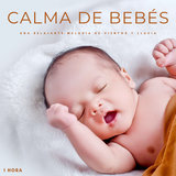 Calma De Bebés: Una Relajante Melodía De Vientos y Lluvia - 1 Hora
