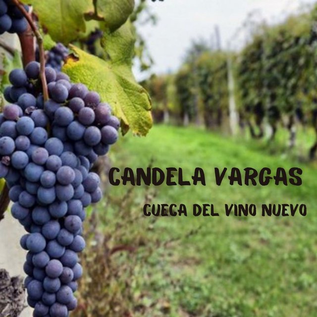 Cueca del Vino Nuevo