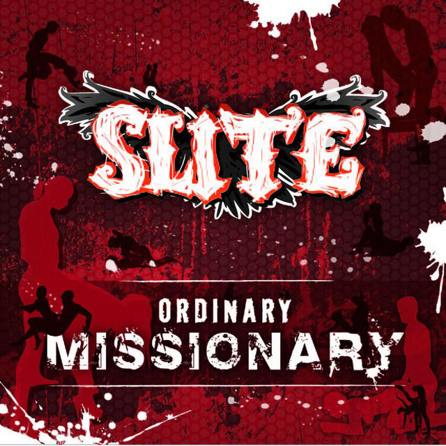 Ordinary Missionary