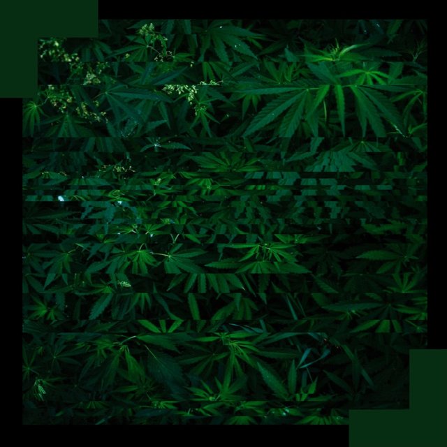 Kushland, Vol. 1
