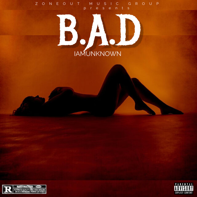 B.A.D (Remix)