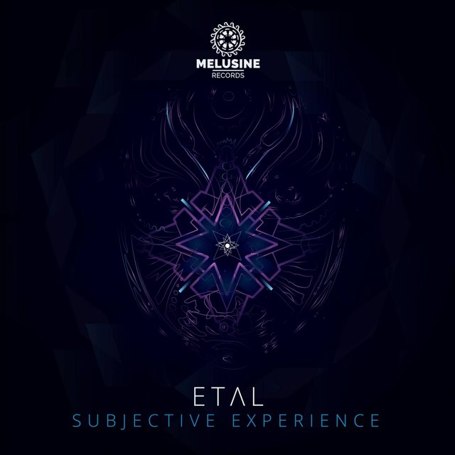 Subjective Experience