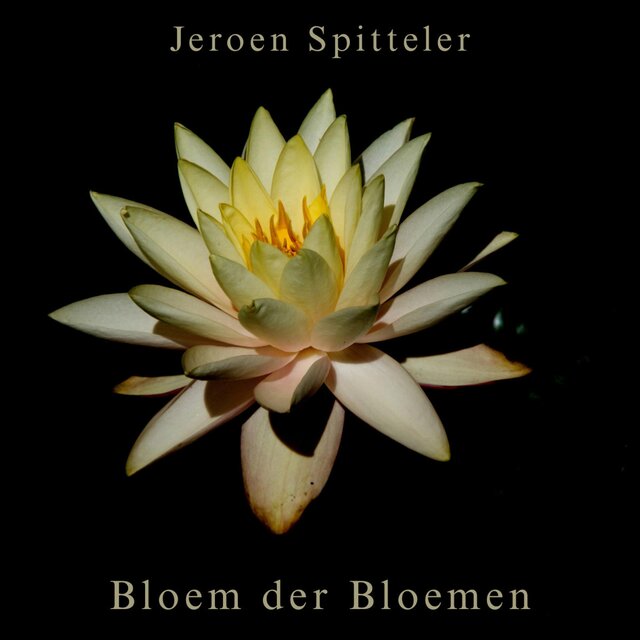 Bloem der bloemen (feat. Ensemble Hermes)