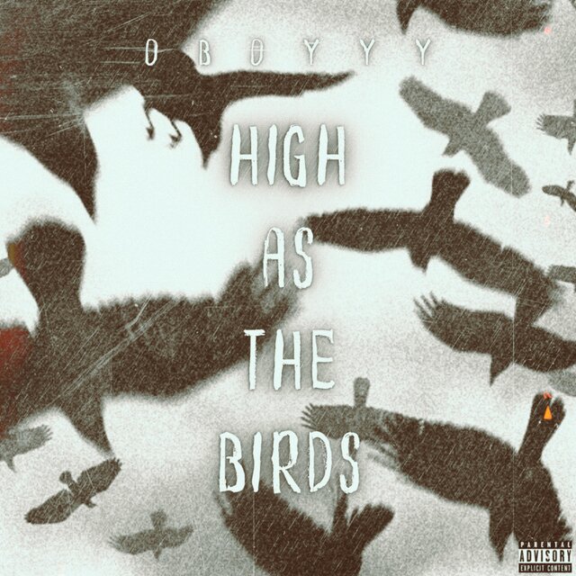 High As The Birds
