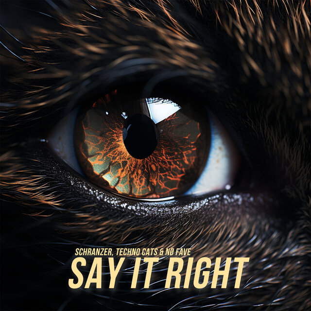Say It Right (Schranz)