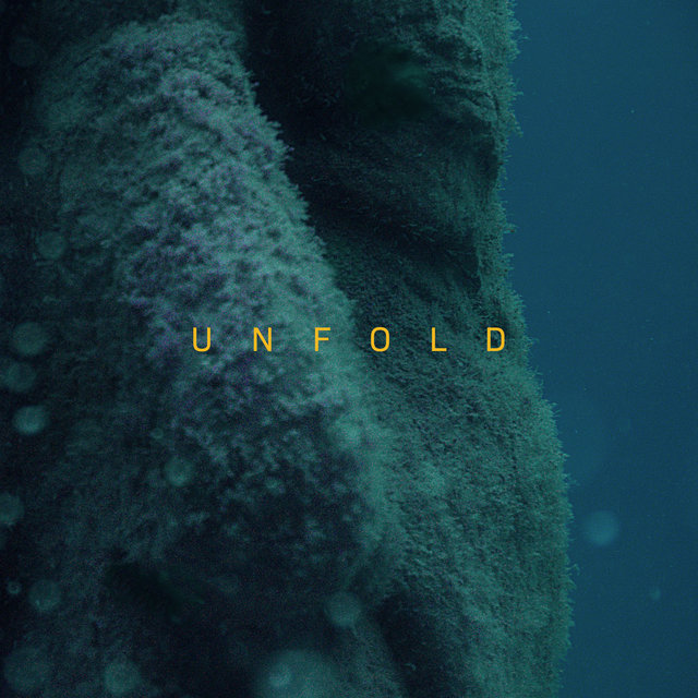 Unfold ((XXIM:EXPO #2))