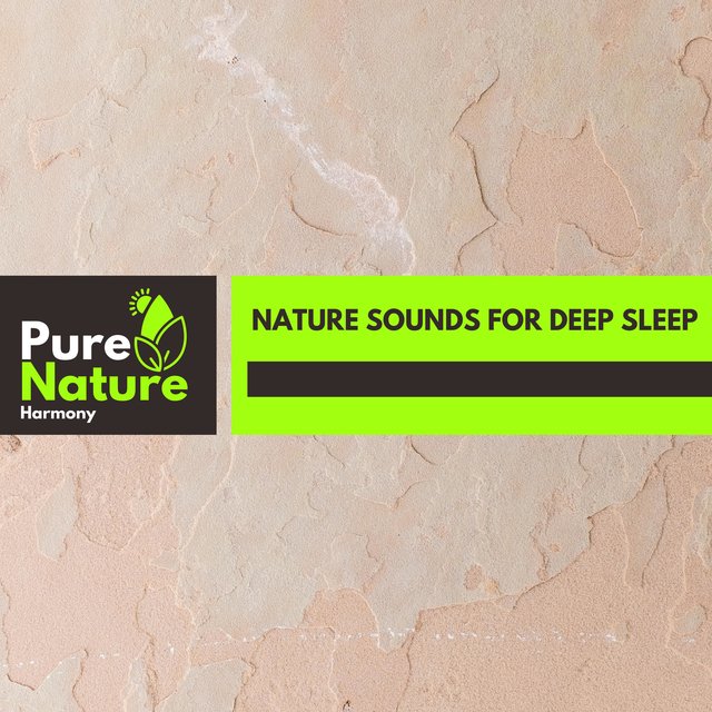 Nature Sounds for Deep Sleep