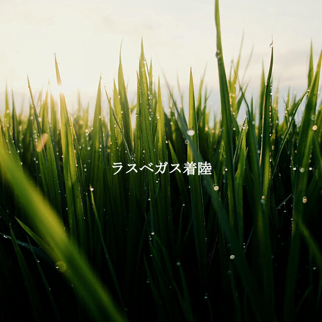 ラスベガス着陸