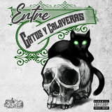 Entre Gatos y Calaveras 3