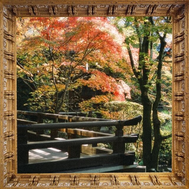 Kaiyo's World