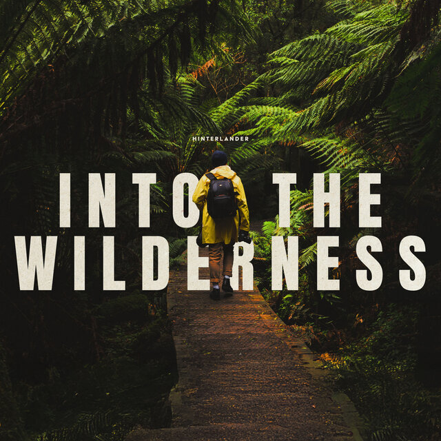 Into the Wilderness