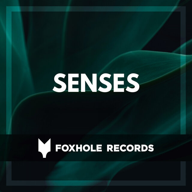 Senses