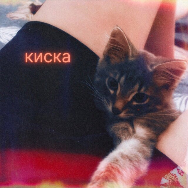 Киска