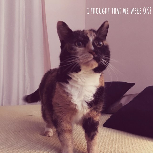 I Thought That We Were Ok?