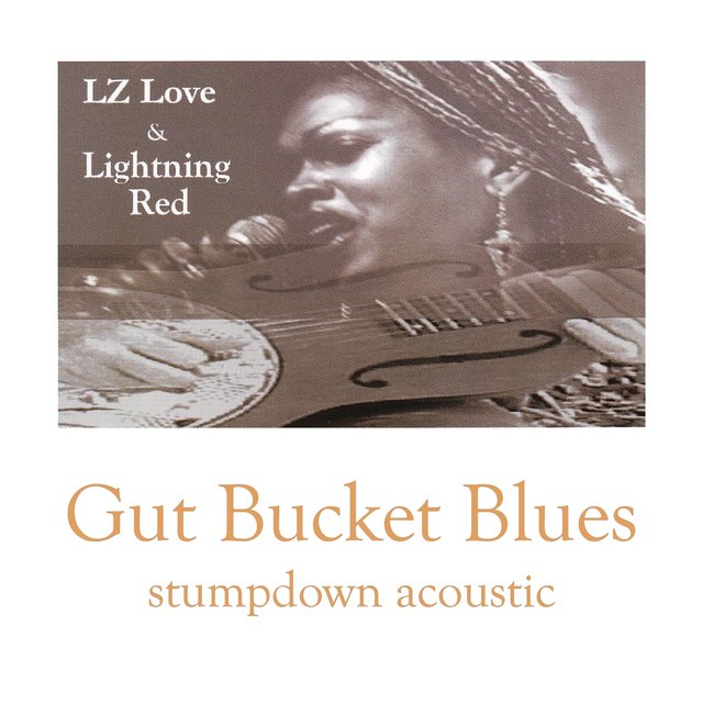 Gut Bucket Blues: Stumpdown Acoustic