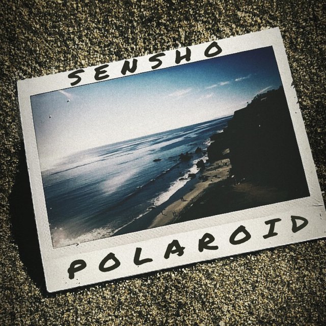 Polaroid