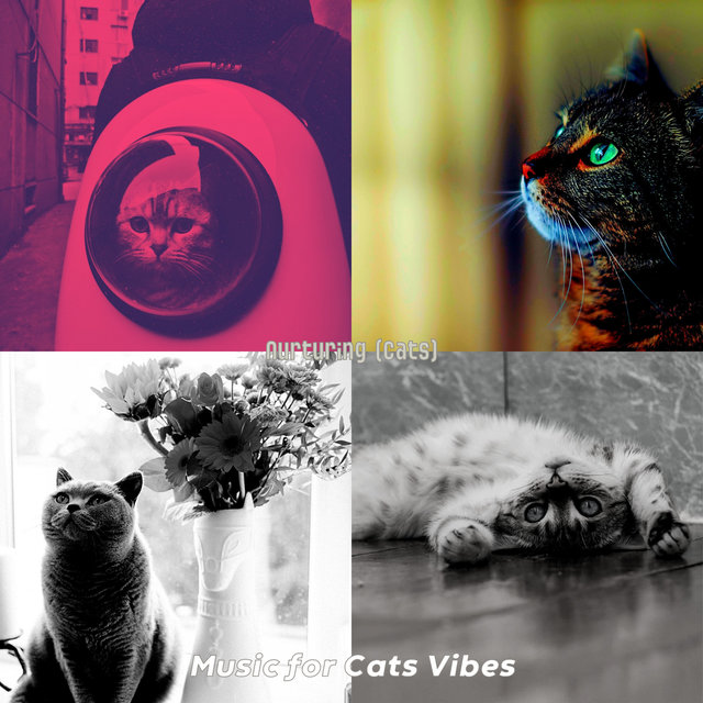 Nurturing (Cats)