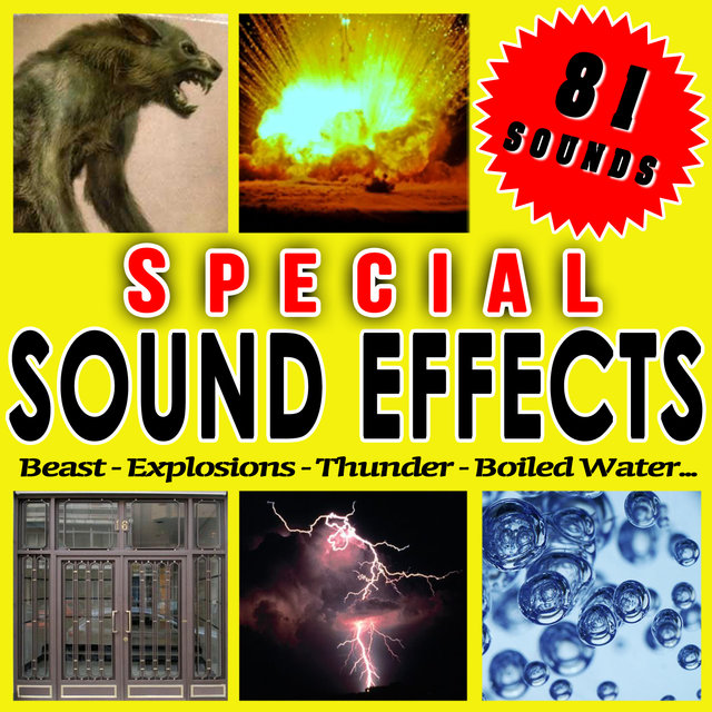 Beast, Explosions, Thunder, Boiled Water... Special Sound Effects