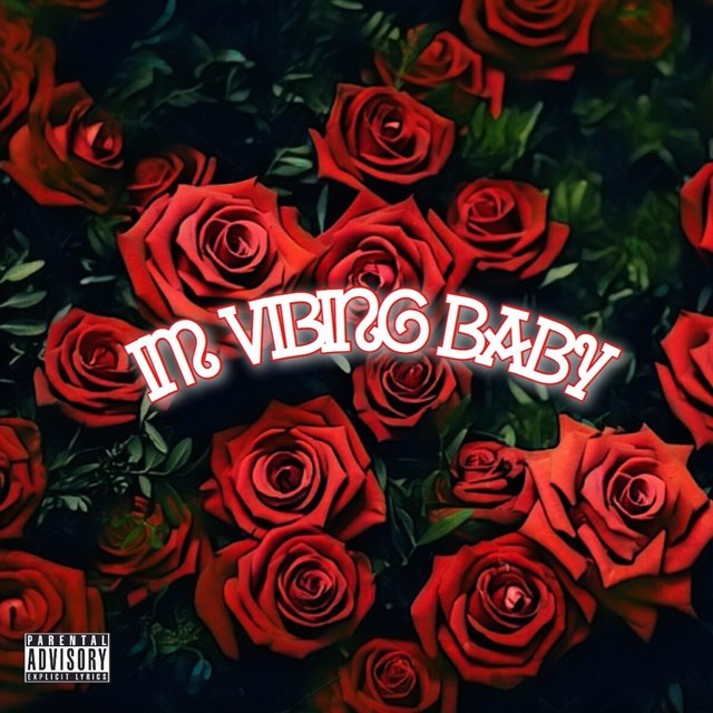 I'm Vibing Baby