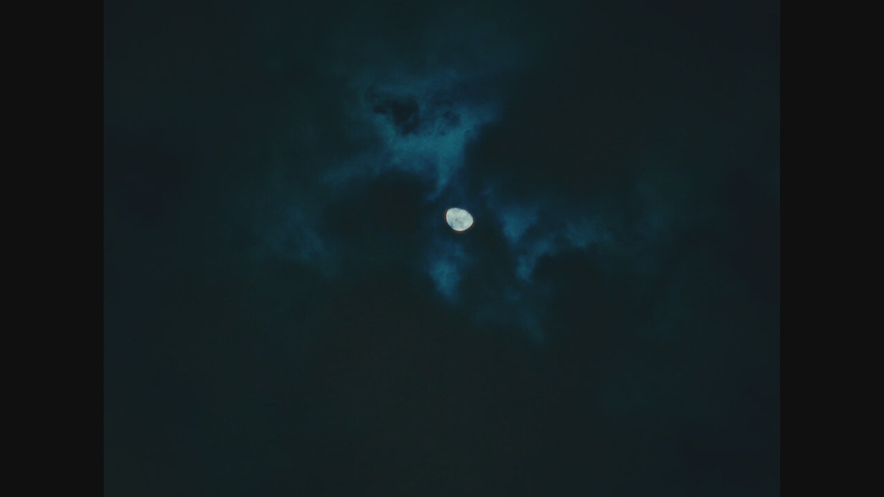 WONDER