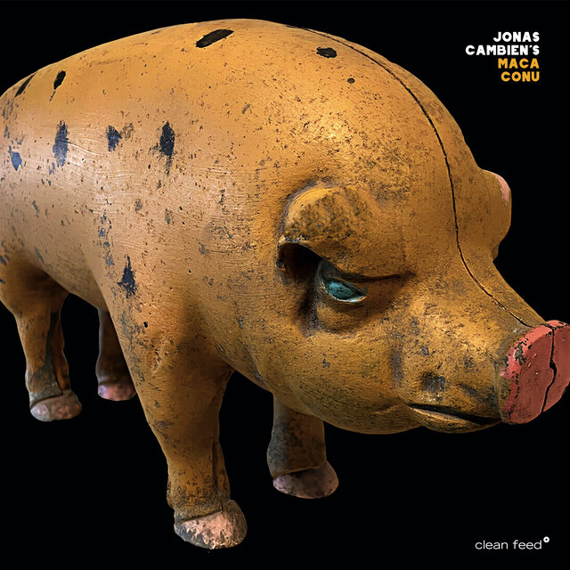 Cover art for album Maca Conu by Jonas Cambien