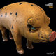 Cover art for album Maca Conu by Jonas Cambien