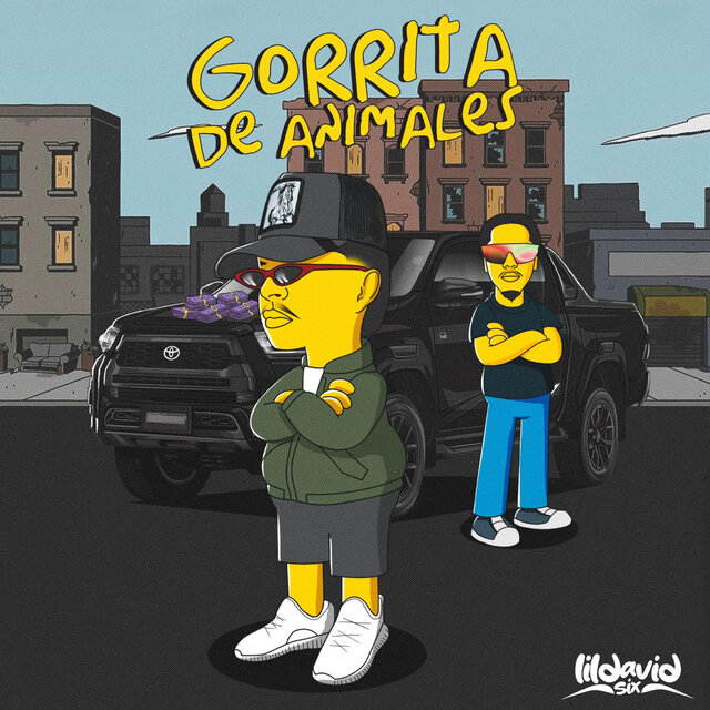 Gorrita de Animales