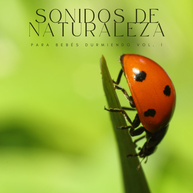 Sonidos De Naturaleza Para Bebés Durmiendo Vol. 1