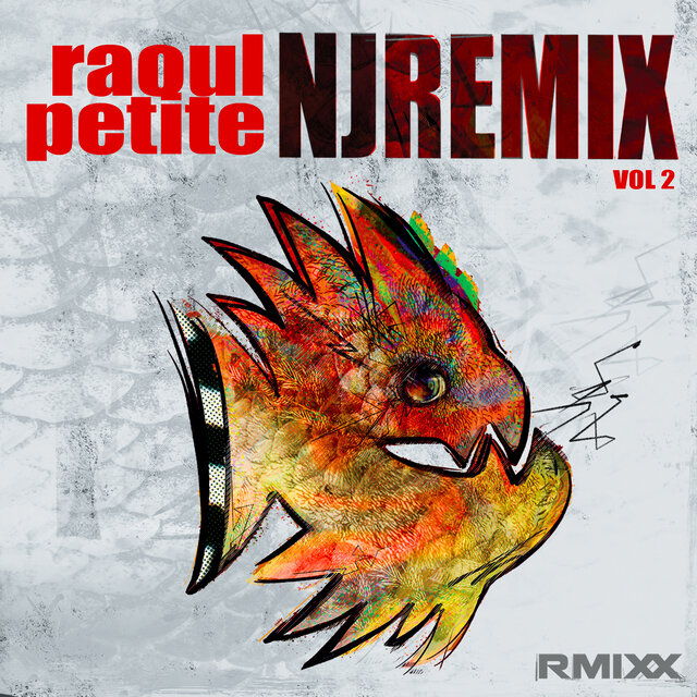 Rmixx, Vol.2 (NJ Remix)