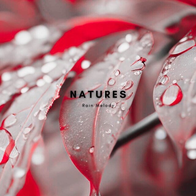 Natural Rain