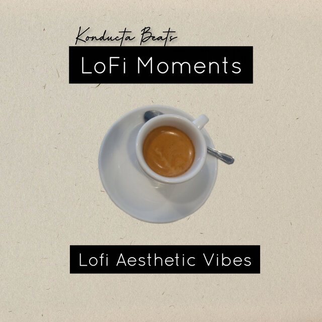 LoFi Aesthetic Vibes