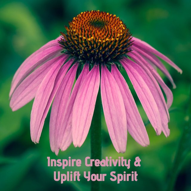 Inspire Creativity & Uplift Your Spirit
