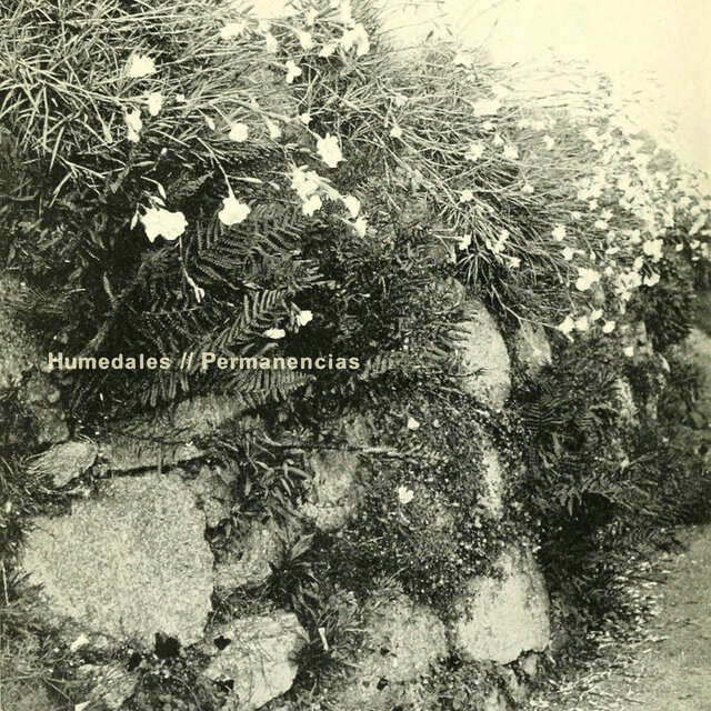 Permanencias