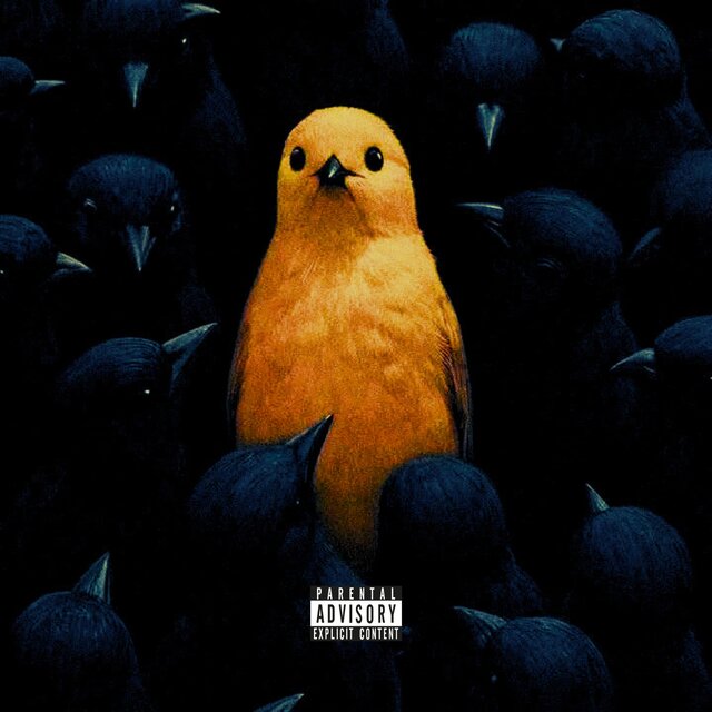 The Yellow Bird