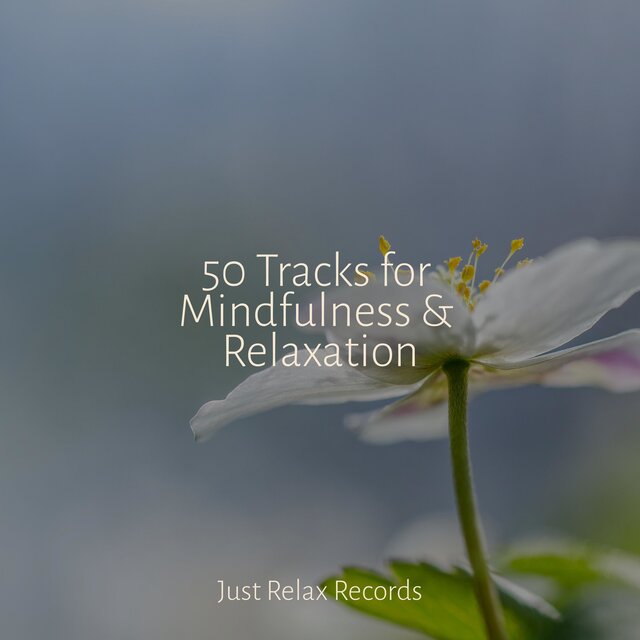 50 Tracks for Mindfulness & Relaxation