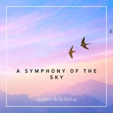 A Symphony of the Sky