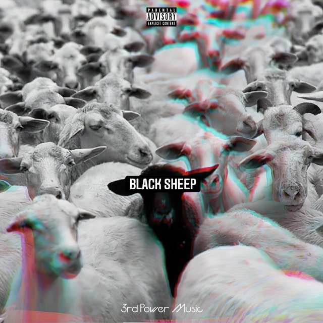 BLACK SHEEPS