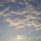 Luminous Dreams