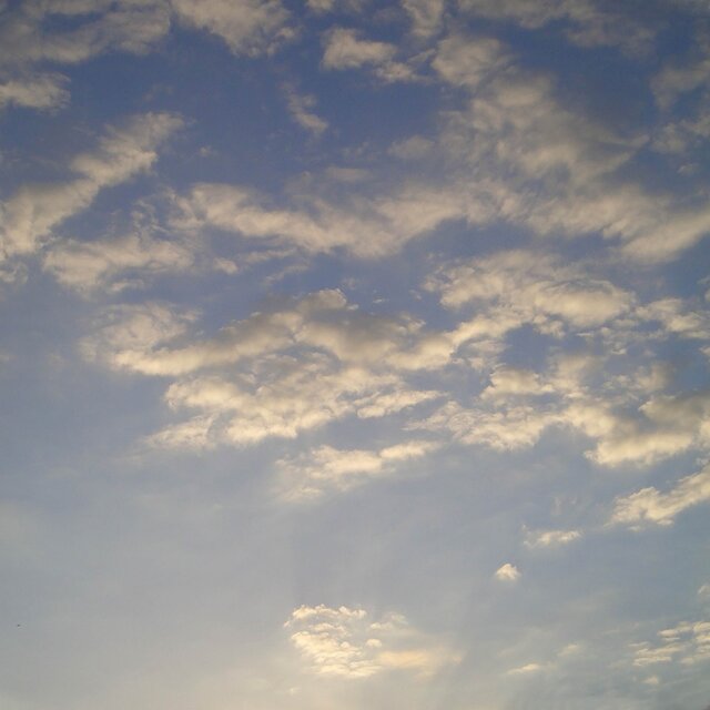 Luminous Dreams