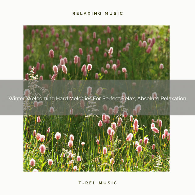Winter Welcoming Hard Melodies For Perfect Relax, Absolute Relaxation