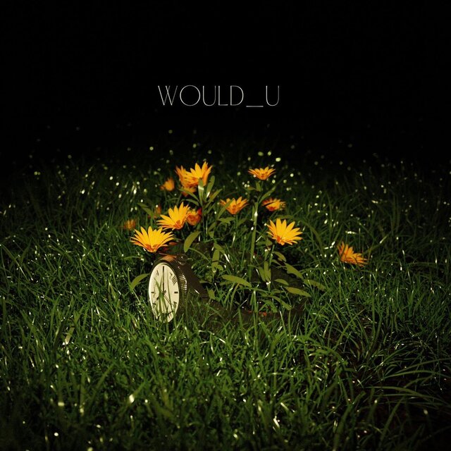 WOULD U