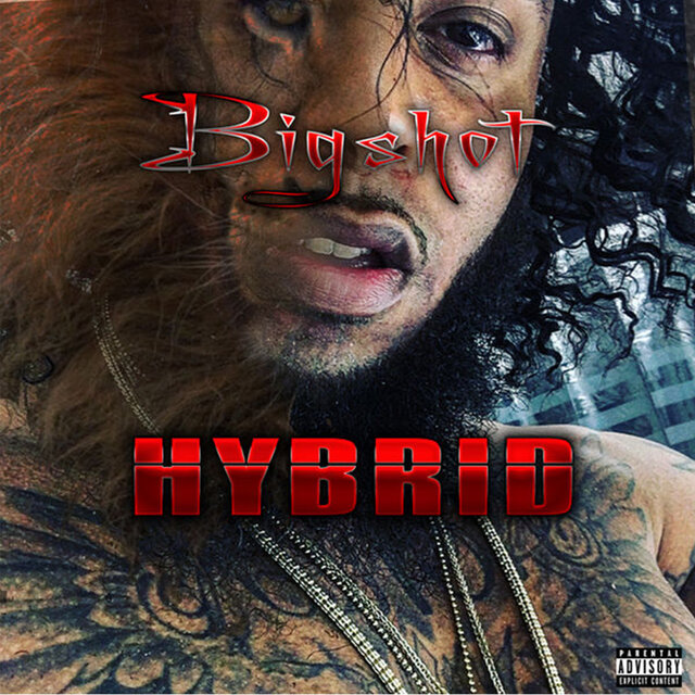Hybrid