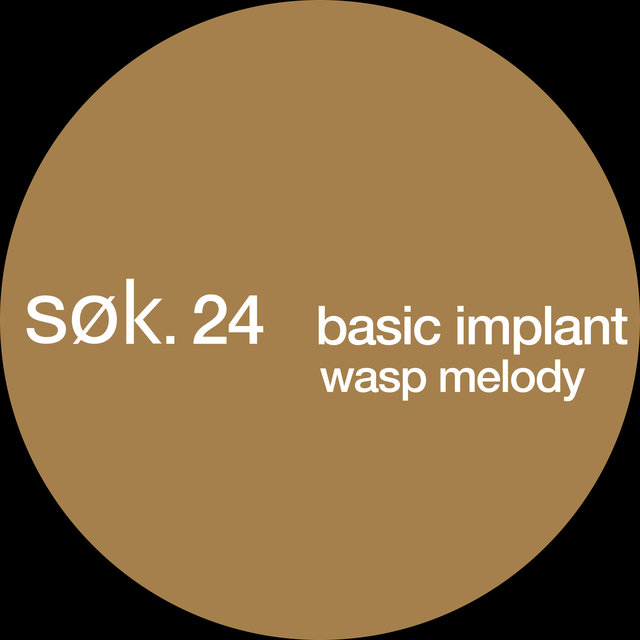 Wasp Melody