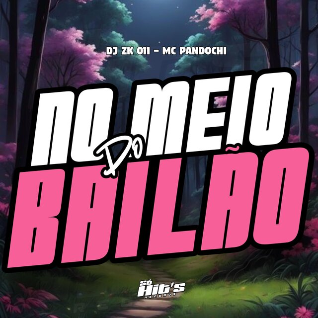 No Meio do Bailão
