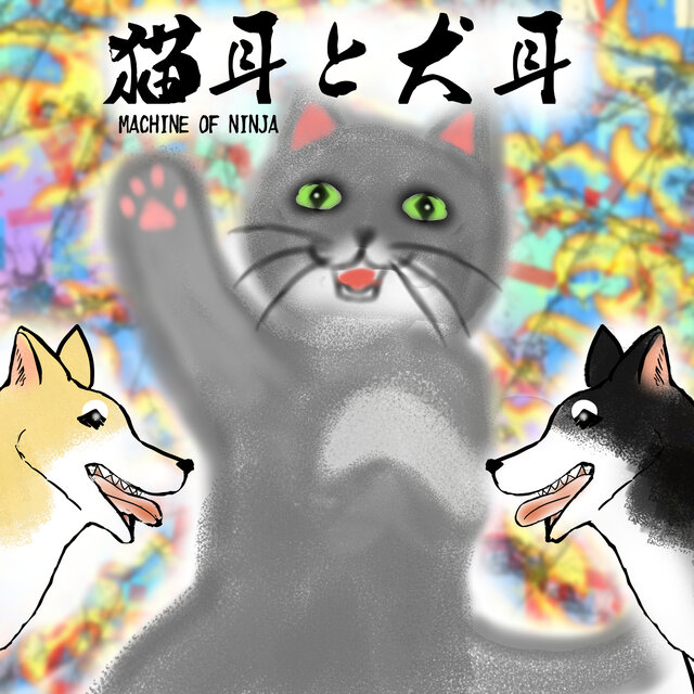 Cat Ears and Dog Ears