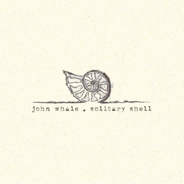 Solitary Shell